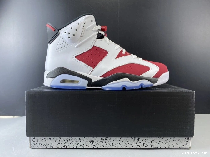 6 'CARMINE' 2014 384664-160 JORDAN RETRO AIR 0628